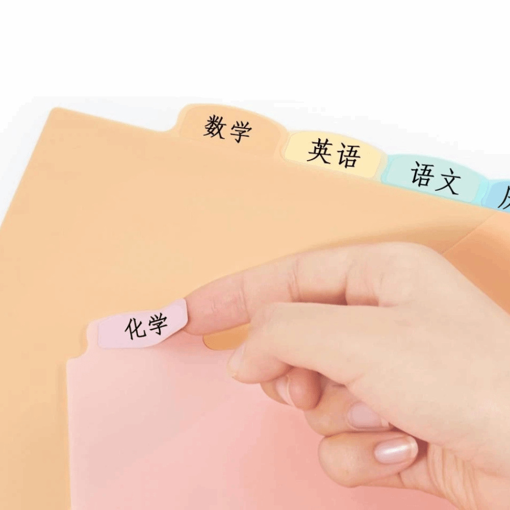8 divisórias para fichário A4  - Tab Divider A4 avaliação e preço